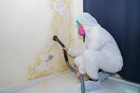 Best Water Damage & Mold Remediation  in Pepper Pike, OH